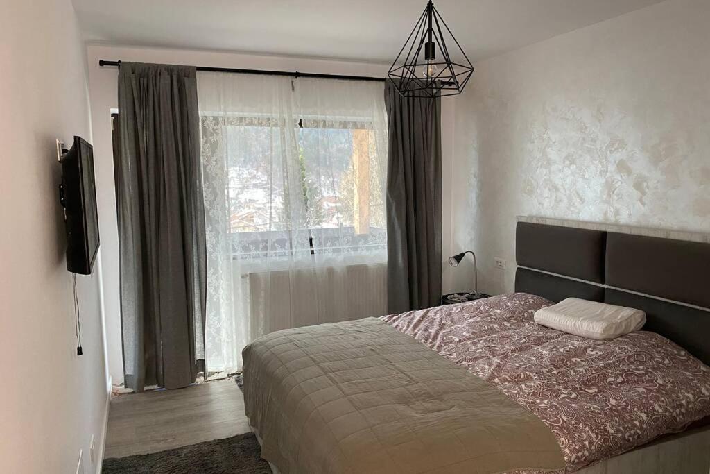 Casa Skadi, Zamora,Buşteni Esterno foto