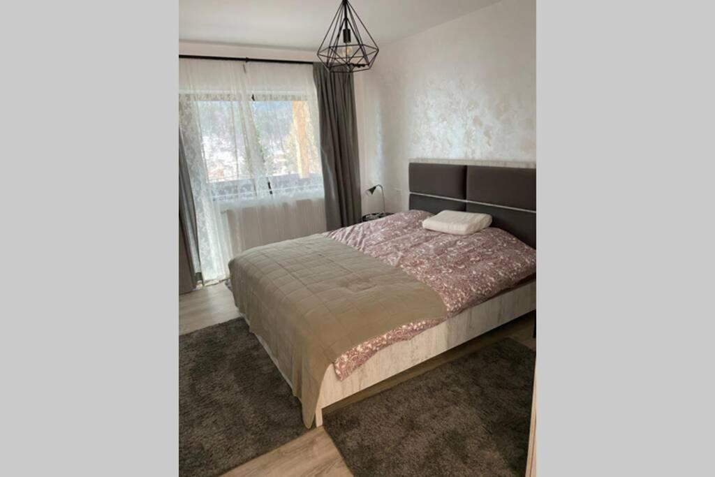 Casa Skadi, Zamora,Buşteni Esterno foto