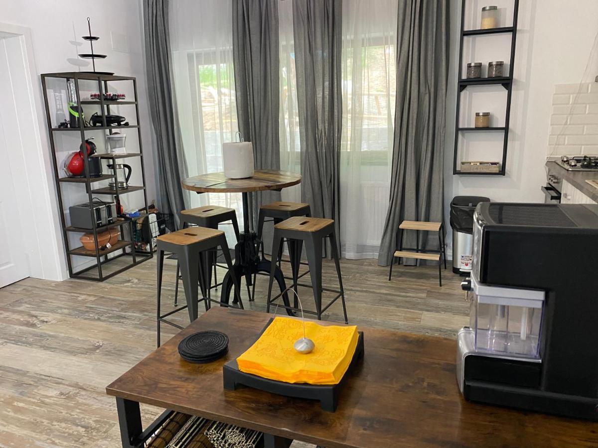 Casa Skadi, Zamora,Buşteni Esterno foto