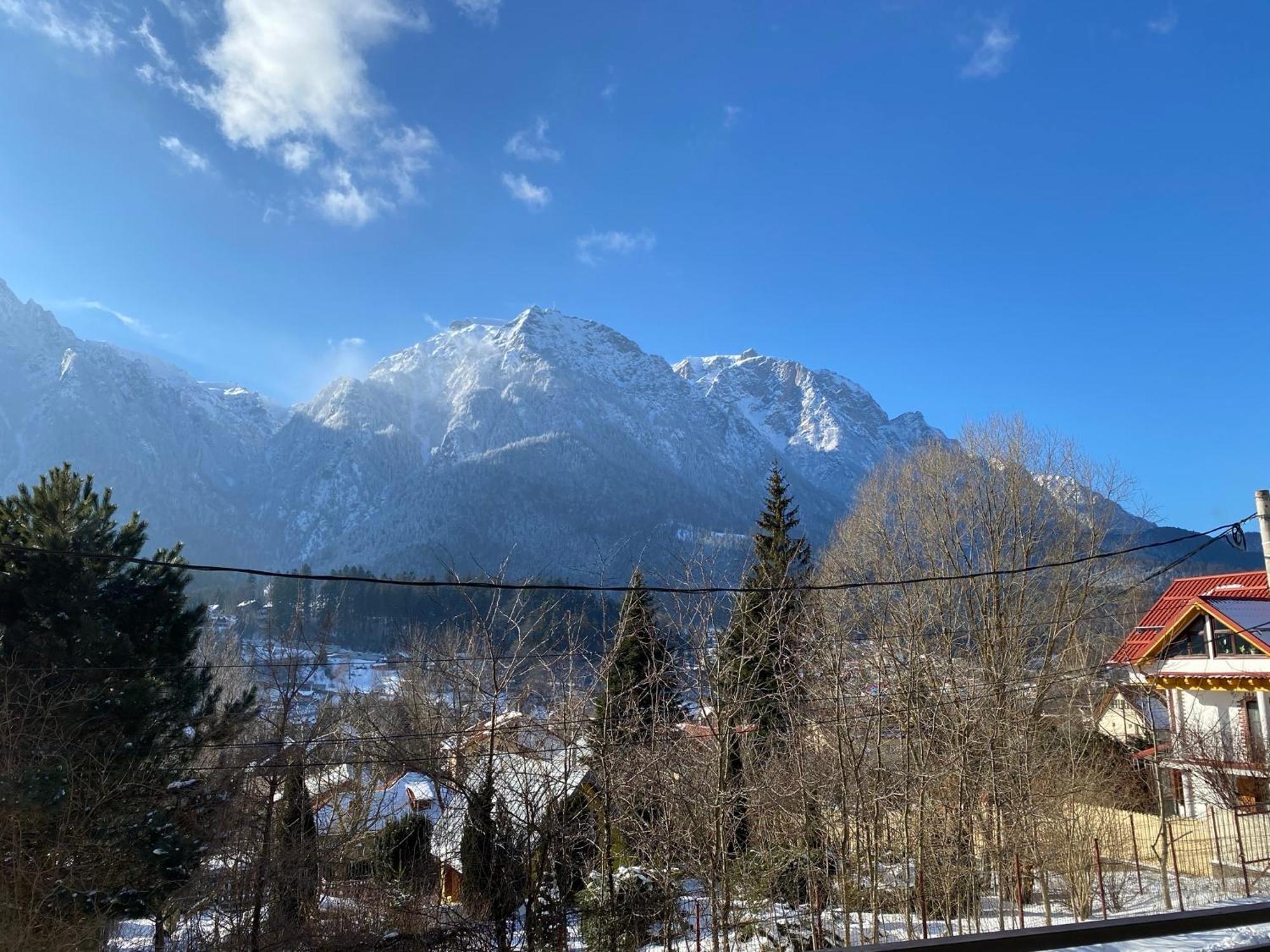 Casa Skadi, Zamora,Buşteni Esterno foto